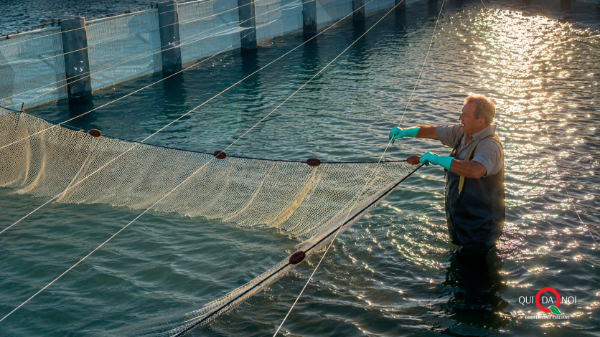 Cooperativa Pescatori di Tortolì: dalla laguna sarda, bottarga e sapori di mare